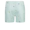 SHIWI sunglass ZWEMSHORT - GROEN