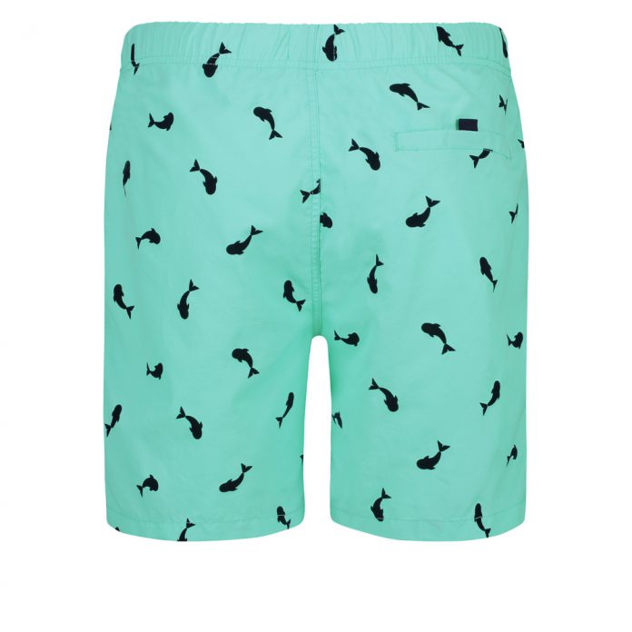 SHIWI whale ZWEMSHORT - GROEN