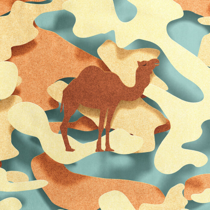 SNURK PAPER DESERT SHORT DAMES