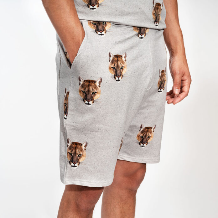 SNURK SHORT HEREN PUMA - GRIJS